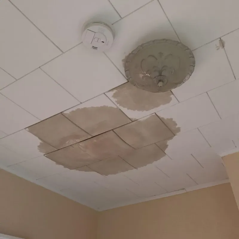 Ceiling Water Damage Repair in McRae, GA